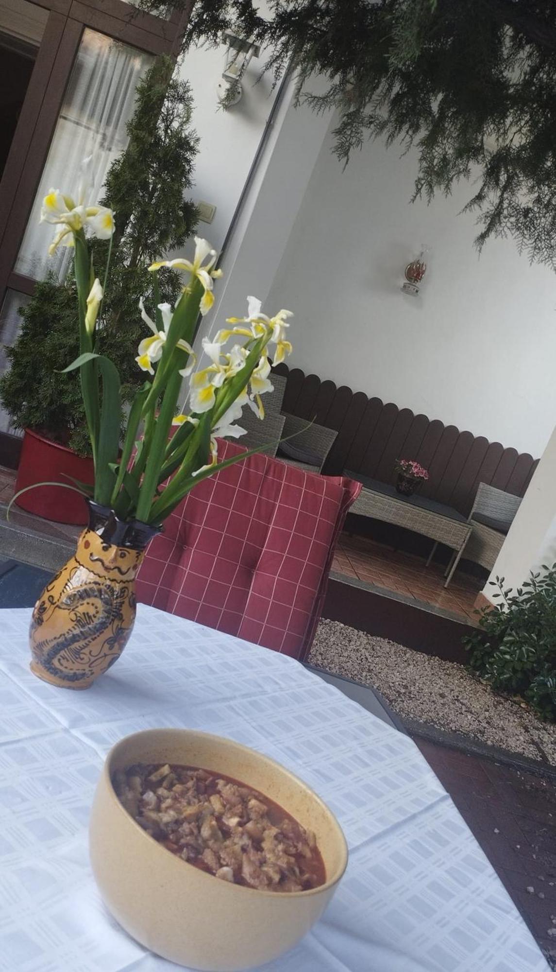 Erzsebet Vendeghaz Es Apartman Hajdúszoboszló Exteriör bild